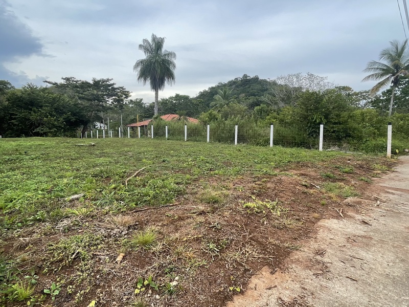 3 Bed Single Family Homes For Sale in Tambor Costa Rica
